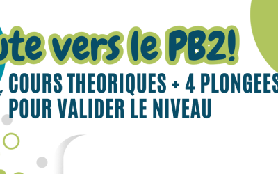 En route vers le niveau 2 Plongeur Biologiste !