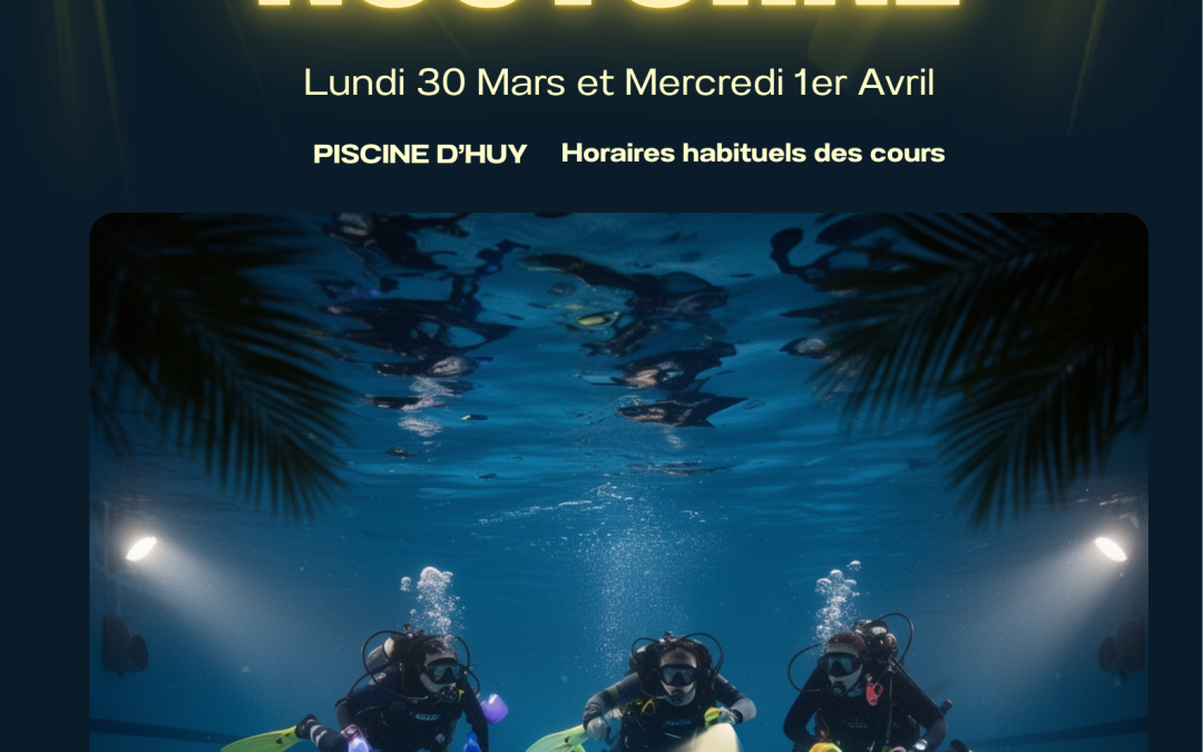 Séance Plongée Nocturne Piscine