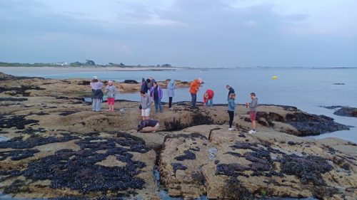 IMG-20250508-WA0039